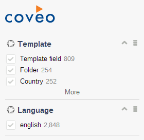 If you refresh the page you can see that facets are using the custom initialization options | Coveo for Sitecore 4