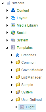 Create a new template named Flight under the node /sitecore/Templates/User Defined | Coveo for Sitecore 4