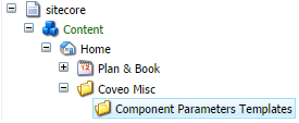 Under a relevant part of the tree (usually Features in a Helix compliant setup) create a folder for your parameters | Coveo for Sitecore 4