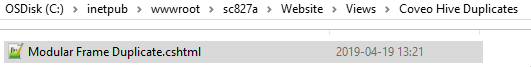 Screenshot of the Windows file explorer with the new view file inside the duplicates folder created earlier | Coveo