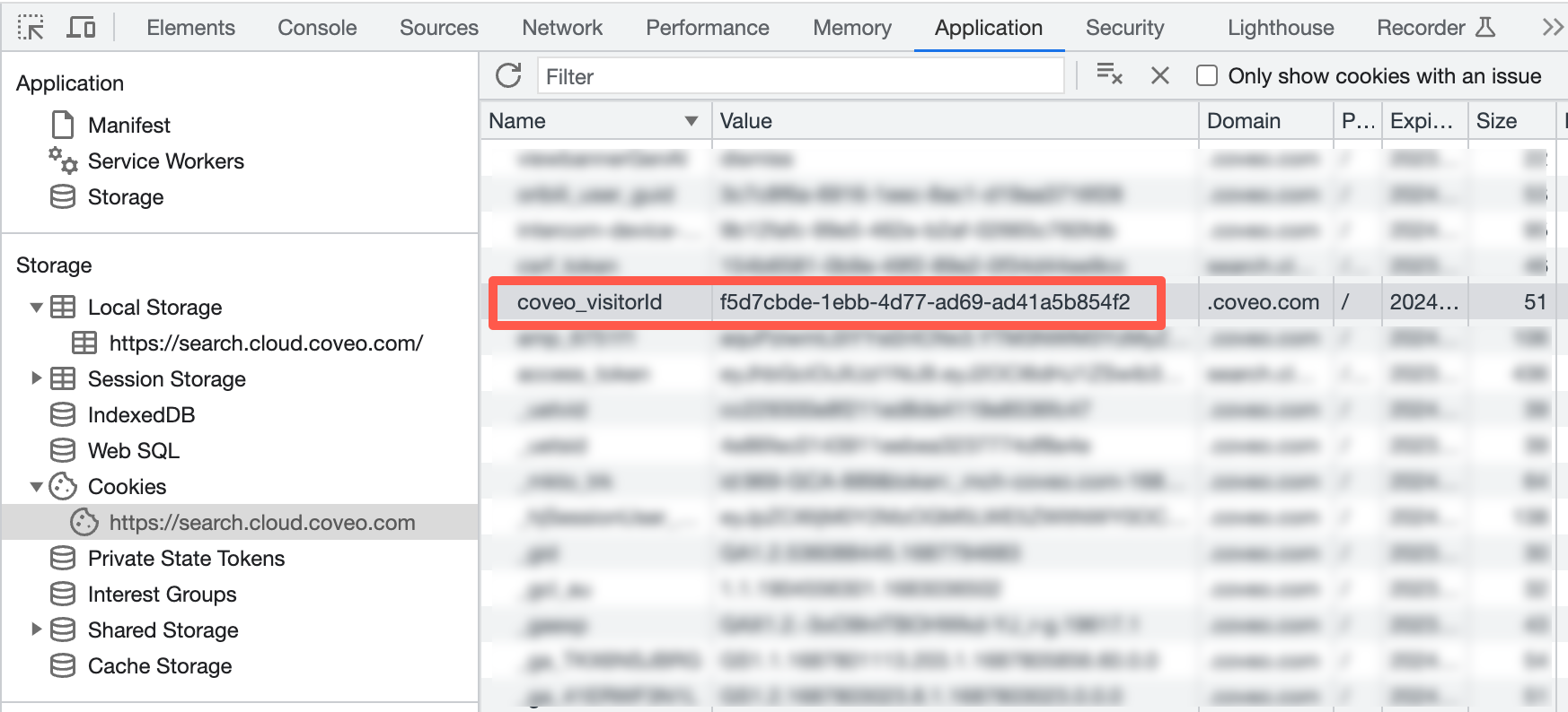 Identifier stored in local cookie shown in browser developer tools