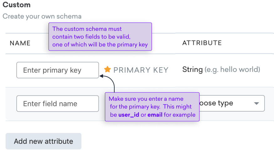 custom schema