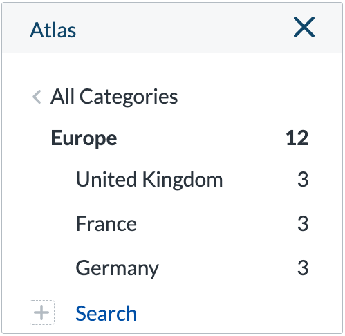 Category Facet