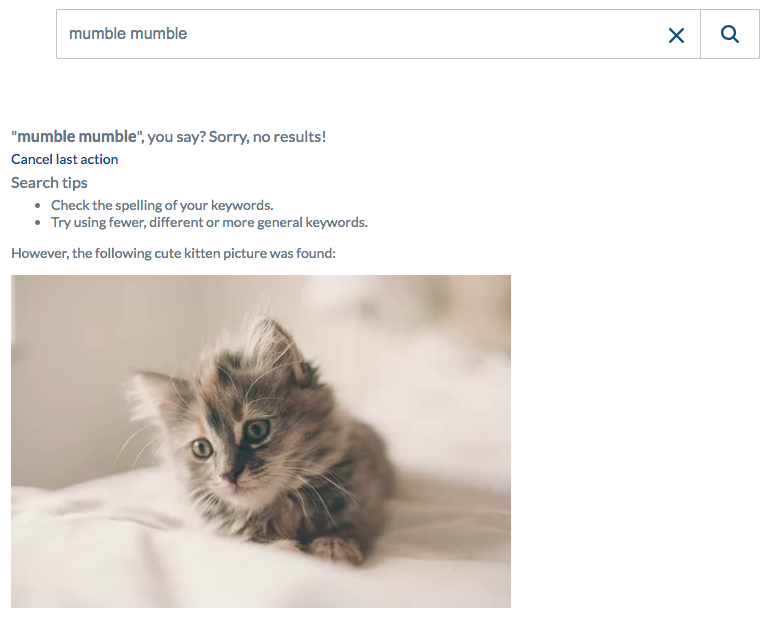 Coveo custom No results page with Sorry no results message search tips Cancel last action button and kitten photo